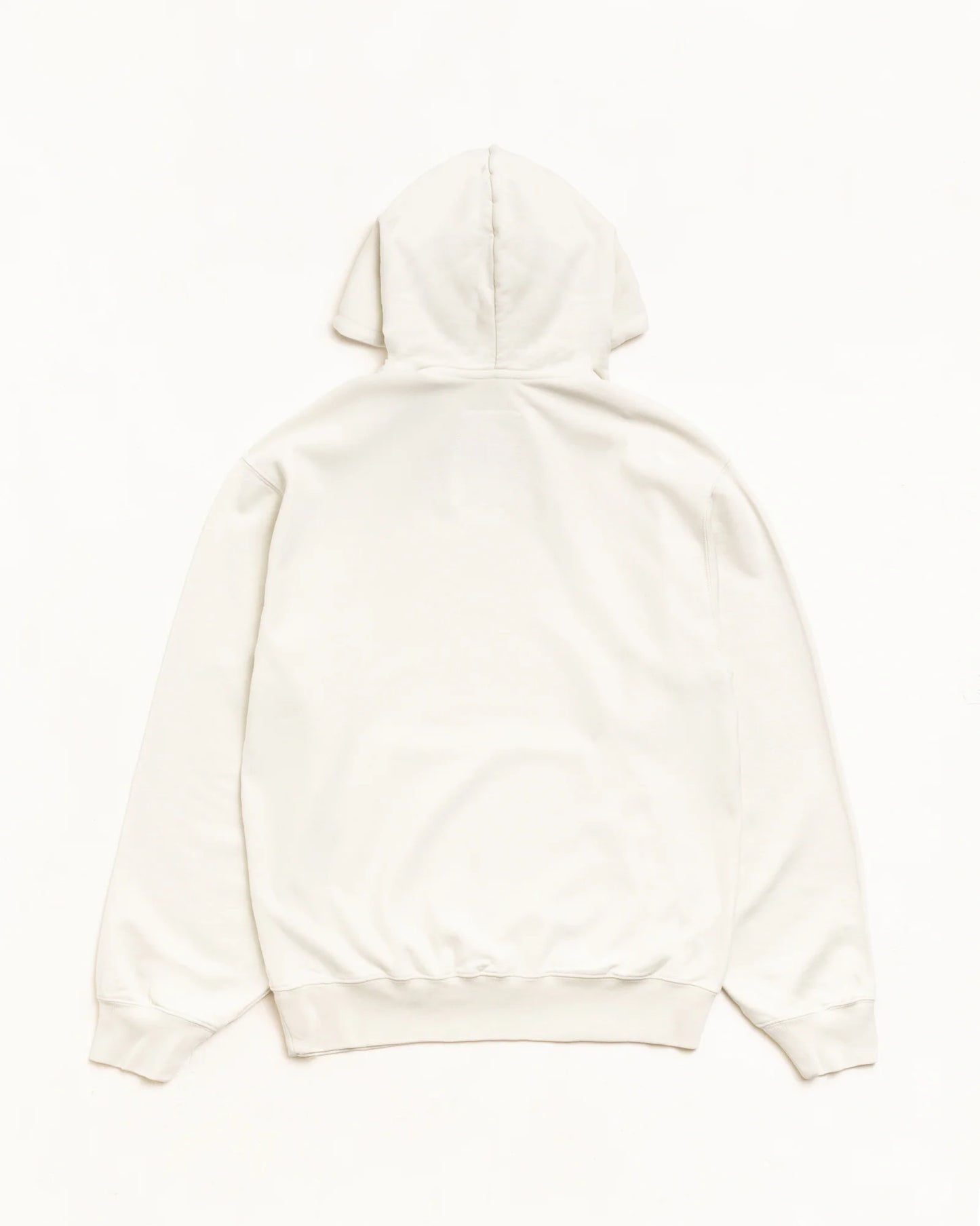 STUSSY LIGHTWEIGHT TERRY HOODIE