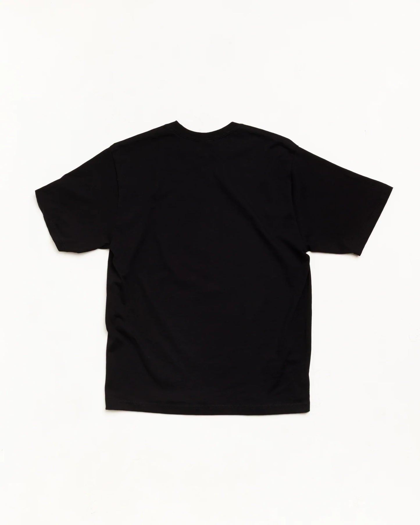STUSSY FLY GEAR TEE