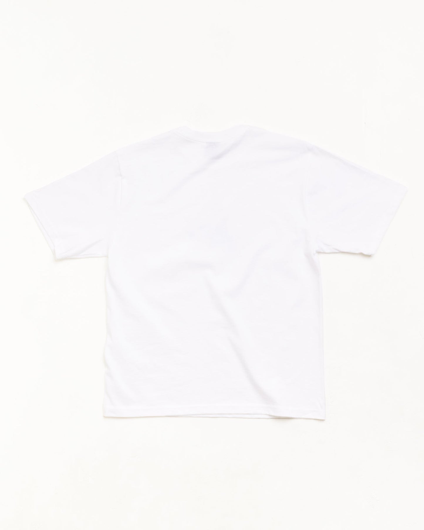 STUSSY FLY GEAR TEE